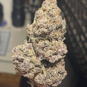 Bubblegum Runtz