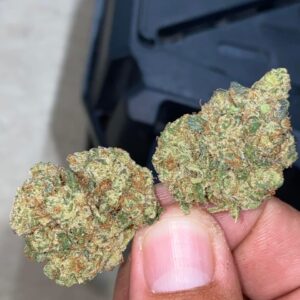 Galactic Candy Strain