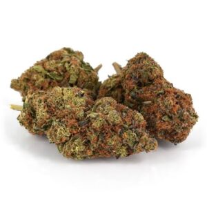 Girl Scout Cookies Strain