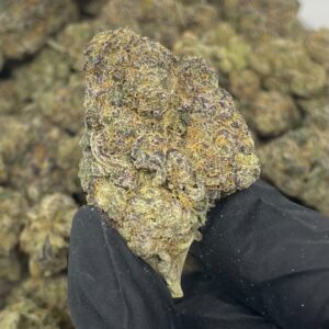 Soda Strain