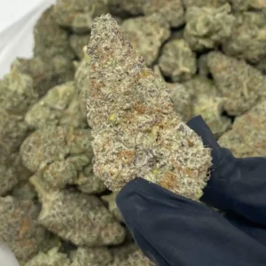 Mac Doughnut Strain