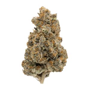 RS 11 Strain