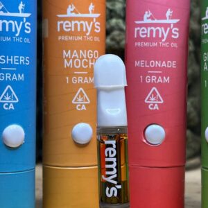 Remy 1G Disposable