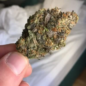 Pink Starburst Strain